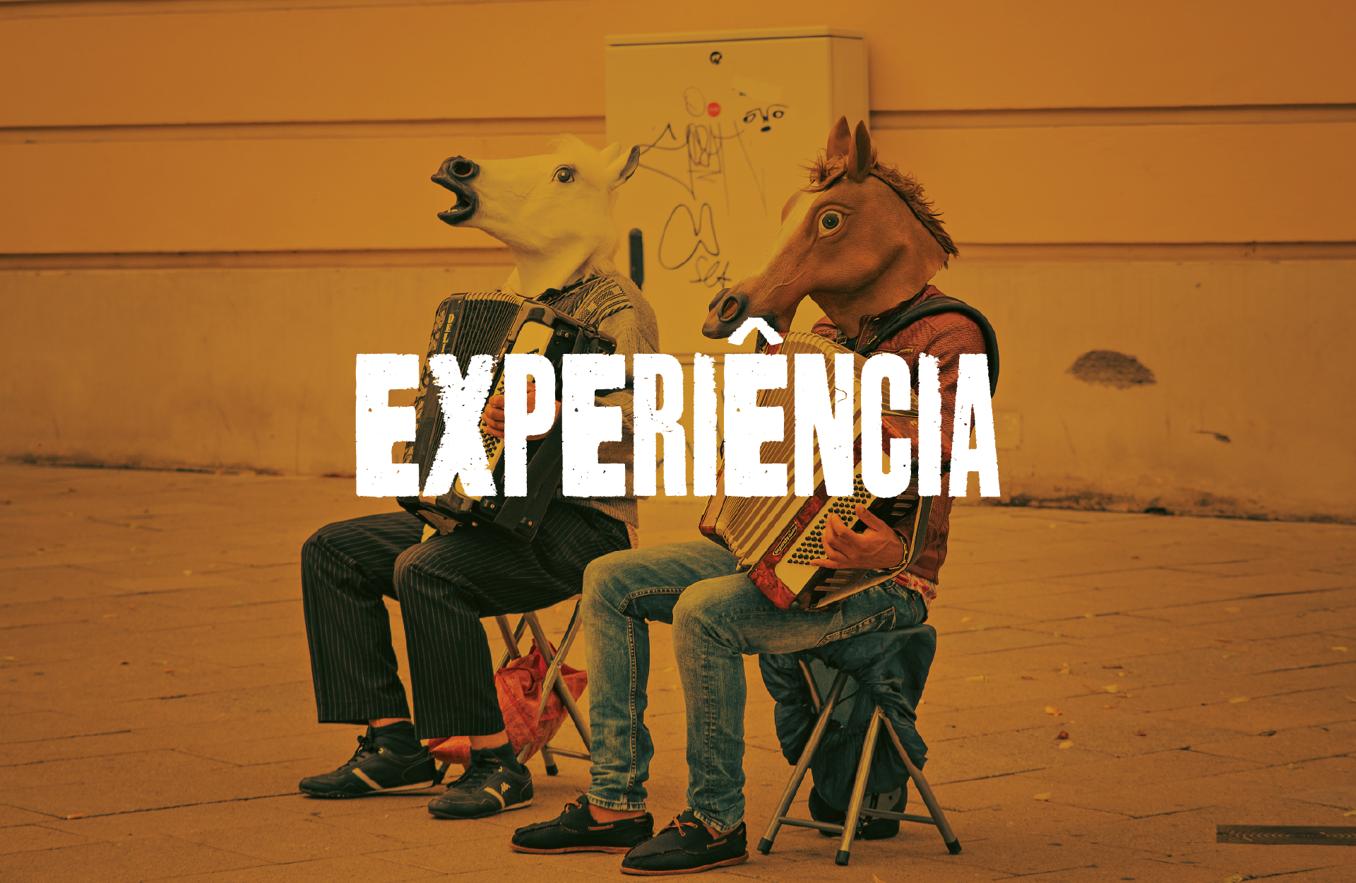 EXPERIÊNCIA
